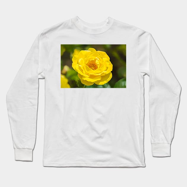 Walking On Sunshine Rose Long Sleeve T-Shirt by Debra Martz